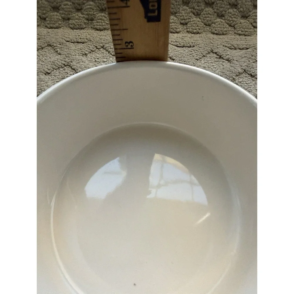 Rae Dunn Dog Food Bowl 